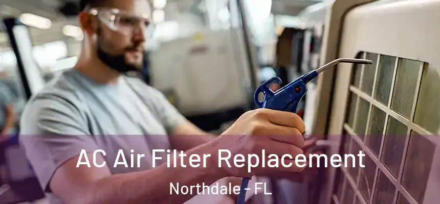 AC Air Filter Replacement Northdale - FL