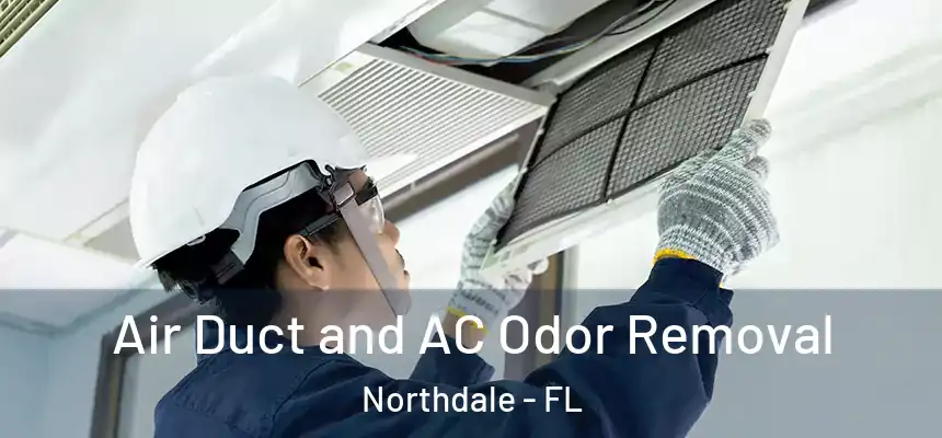 Air Duct and AC Odor Removal Northdale - FL