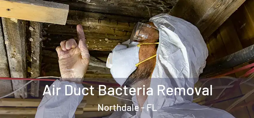 Air Duct Bacteria Removal Northdale - FL