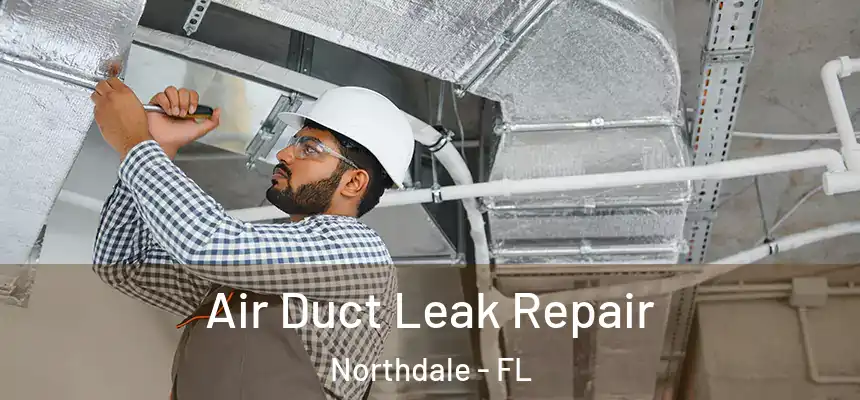 Air Duct Leak Repair Northdale - FL