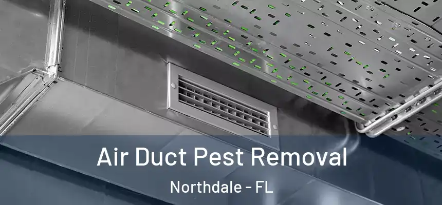 Air Duct Pest Removal Northdale - FL