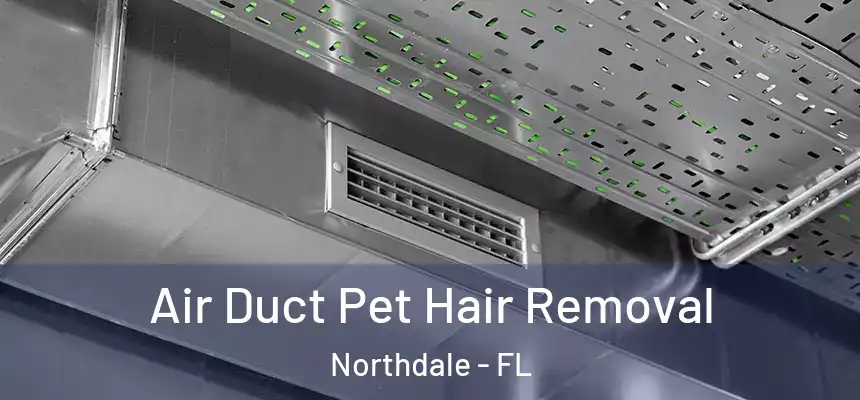 Air Duct Pet Hair Removal Northdale - FL