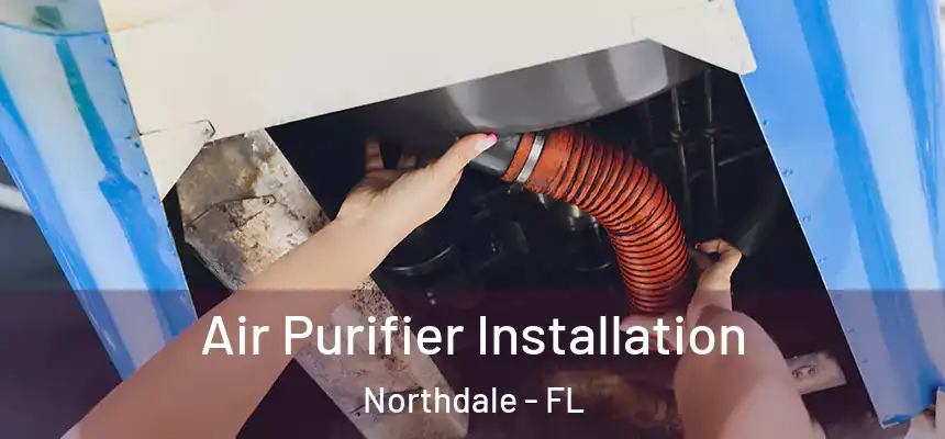 Air Purifier Installation Northdale - FL