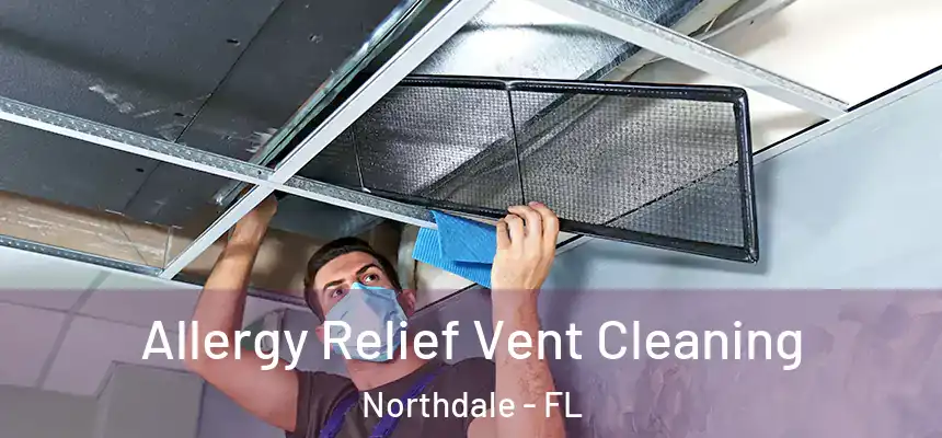 Allergy Relief Vent Cleaning Northdale - FL