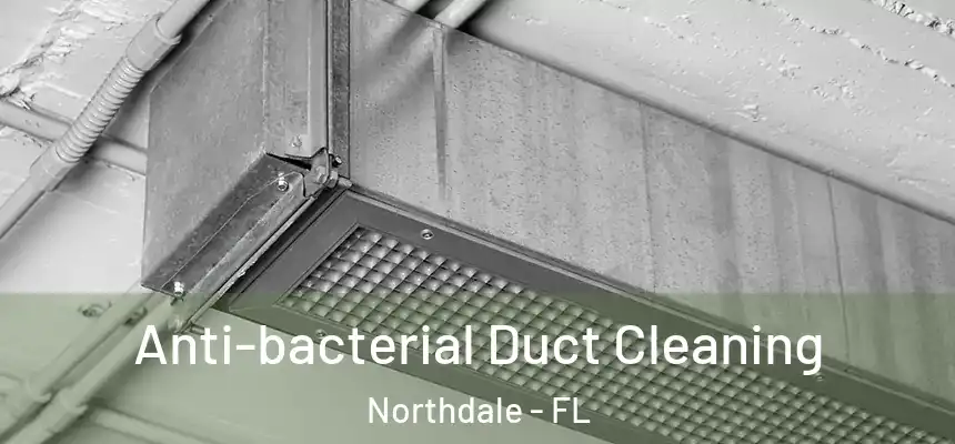 Anti-bacterial Duct Cleaning Northdale - FL