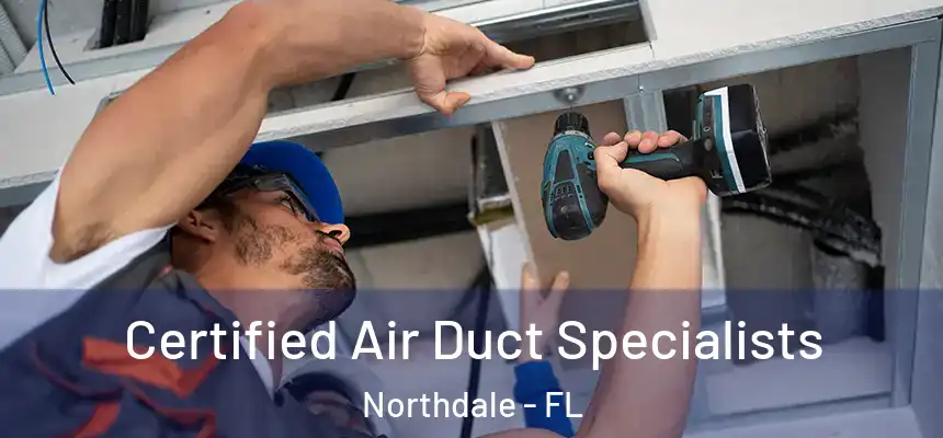 Certified Air Duct Specialists Northdale - FL