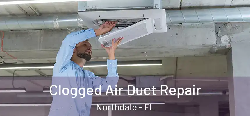 Clogged Air Duct Repair Northdale - FL