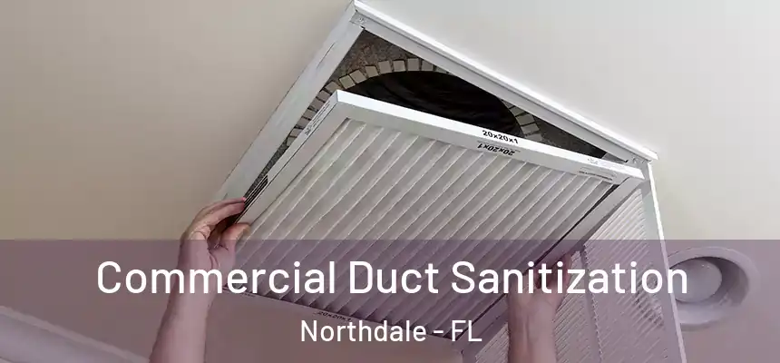 Commercial Duct Sanitization Northdale - FL
