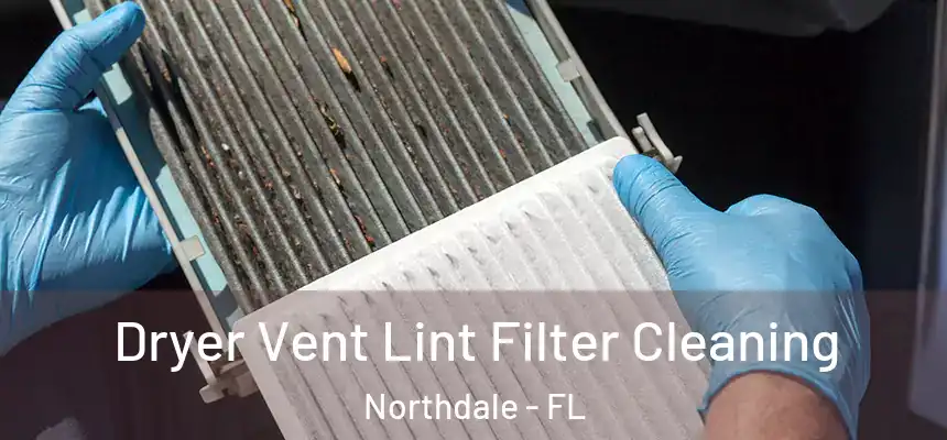 Dryer Vent Lint Filter Cleaning Northdale - FL