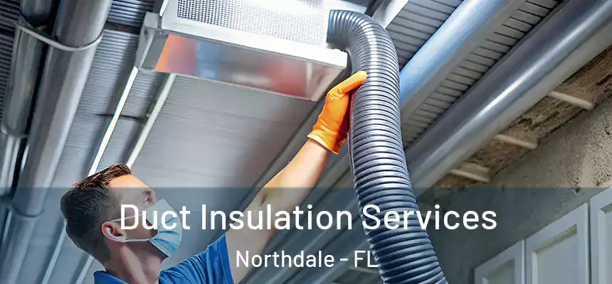 Duct Insulation Services Northdale - FL