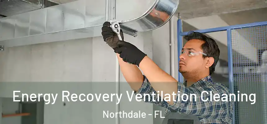 Energy Recovery Ventilation Cleaning Northdale - FL