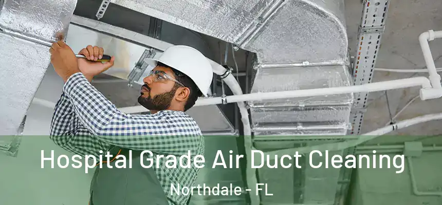 Hospital Grade Air Duct Cleaning Northdale - FL