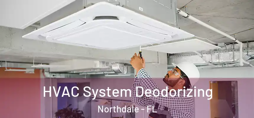 HVAC System Deodorizing Northdale - FL