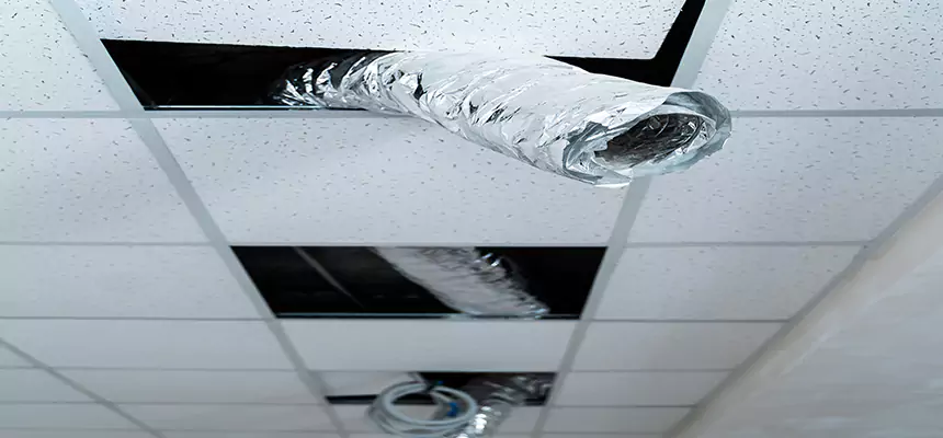 Affordable HVAC Sanitizing After Pest Removal in Northdale