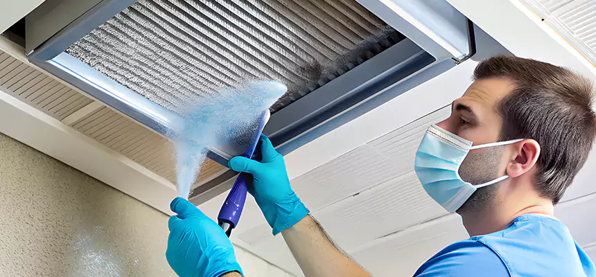 Proactive Dryer Vent & Auxiliary Duct Pollen Cleanup in Northdale, FL