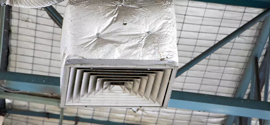 Our HVAC Mold Remediation Service Services in Northdale, FL