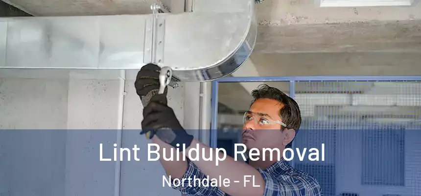Lint Buildup Removal Northdale - FL