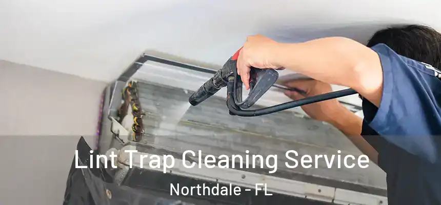 Lint Trap Cleaning Service Northdale - FL