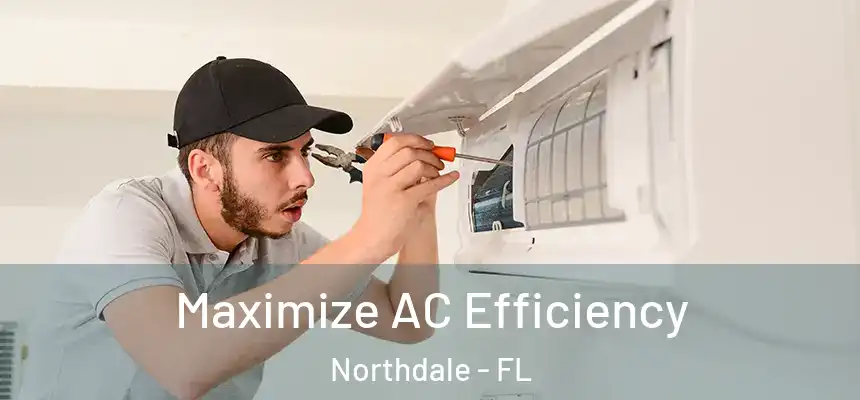 Maximize AC Efficiency Northdale - FL