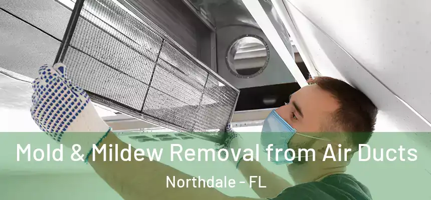 Mold & Mildew Removal from Air Ducts Northdale - FL