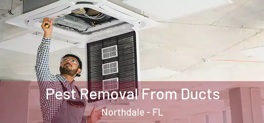 Pest Removal From Ducts Northdale - FL
