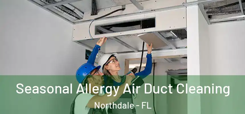 Seasonal Allergy Air Duct Cleaning Northdale - FL