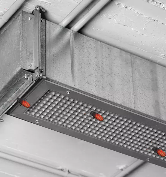 About Air Duct Cockroach Removal in Northdale, FL