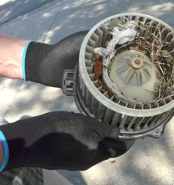 About Air Duct Mice Removal in Northdale, FL