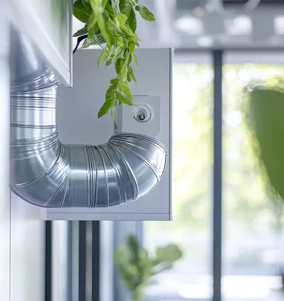 Professional Eco-Safe Dryer Vent Cleaning in Northdale, FL