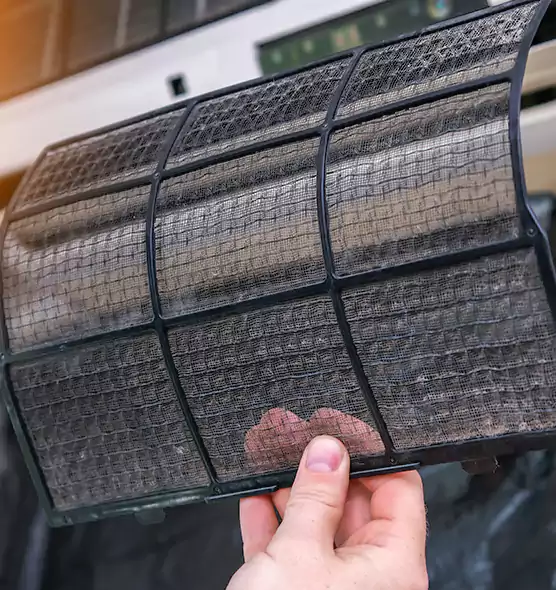 About Pet Dander Duct Cleaning in Northdale, FL