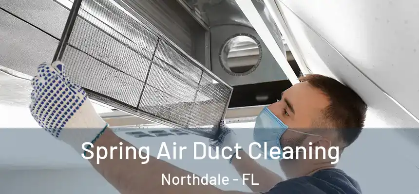 Spring Air Duct Cleaning Northdale - FL