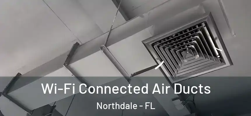 Wi-Fi Connected Air Ducts Northdale - FL